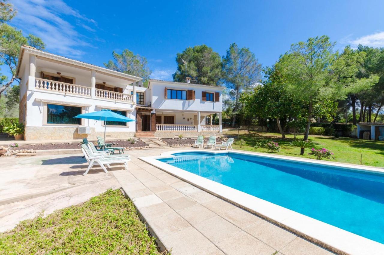 Your House Can Marques Palma de Mallorca Exterior photo